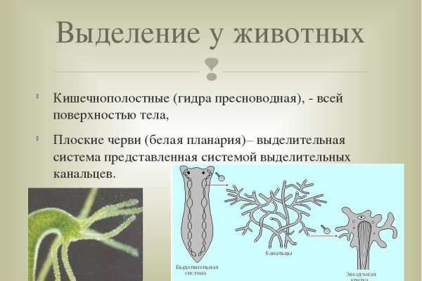 Как вывести деньги с kraken