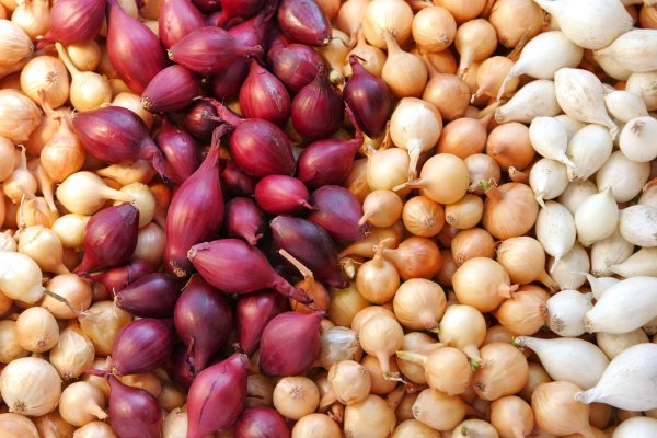 Кракен сайт