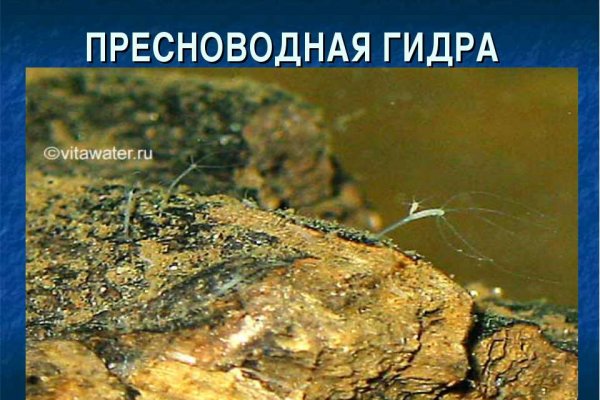 Кракен вывод средств