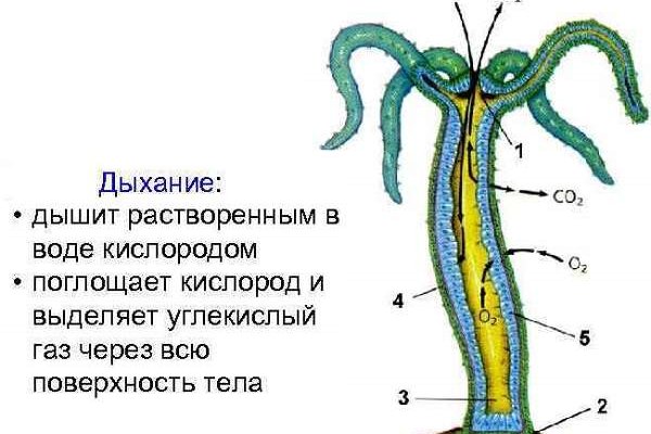 Кракен наркоз магазин
