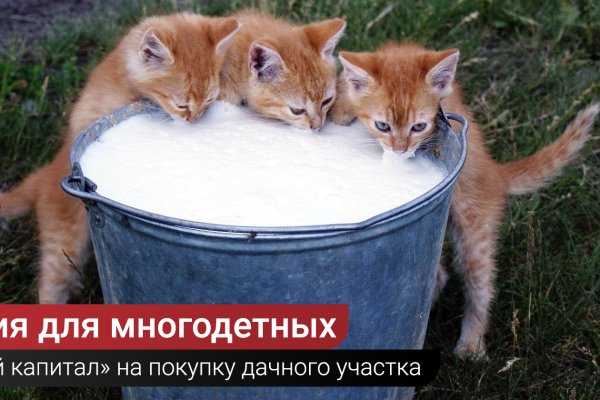 Кракен наркомаркетплейс