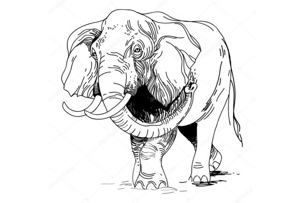 Кракен омг мега